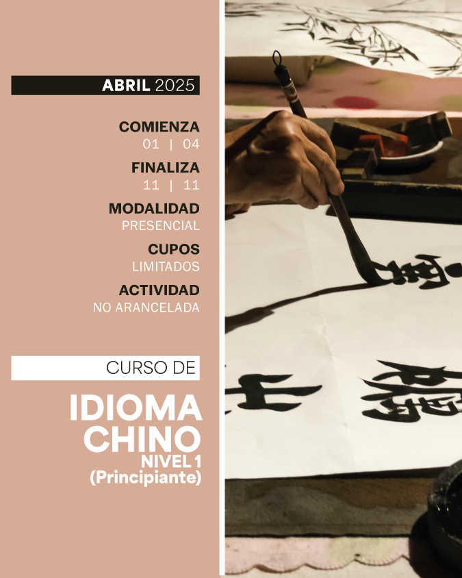 CURSO DE IDIOMA CHINO NIVEL 1 - IUPFA